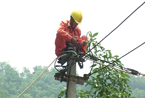 Công nhân chi nhánh điện Mai Châu khắc phục thay thế đường dây mới nhằm bảo đảm lưới điện phục vụ nhân dân.